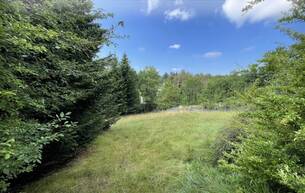 Wohnen Sonniges Grundstück in Grünlage 3032 Eichgraben