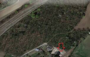 Wohnen Baugrundstück - Am Bräuner Wald | 2125 Neubau (Bauplatz 1) 2125 Neubau