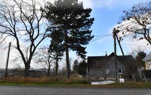 Anlage Traumhafter Baugrund - IDEAL für BAUTRÄGER, FAMILIEN und ANLEGER 1220 Wien