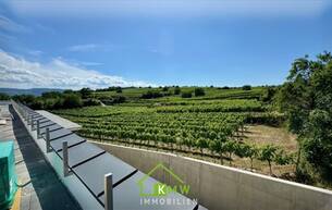 Wohnen Wohnung Aussichtslage Top 11: Weingartenblick - Luxuriöse 4 Zimmer Dachgeschosswohnung mit herrlicher Terrasse 3500 Krems an der Donau