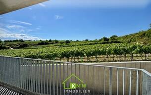 Wohnen Wohnung Aussichtslage Top 8: Weingartenblick - 3 Zimmer Eigentumswohnung mit Terrasse 3500 Krems an der Donau