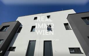 Wohnen Reihen/Doppelhaus 6 extravagante Doppelhaushälften in Traumlage von Weidling 3400 Klosterneuburg