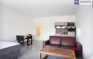 Wohnen Wohnung VOLLMÖBLIERTE Garconniere mit 45m² in der MALERISCHEN West-Steiermark! ERSTBEZUG ab sofort verfügbar! 8151 Reiteregg
