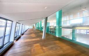 Gewerbe Büro/Praxis Modernes Open Space Dachgeschossbüro mit großer Terrasse m Wiener Börsegebäude zu mieten 1010 Wien Gewerbe Büro/Praxis Modernes Open Space Dachgeschossbüro mit großer Terrasse m Wiener Börsegebäude zu mieten 1010 Wien