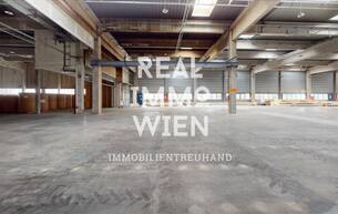 Gewerbe Lager Großzügiges Lager mit Freifläche in zentraler Lage von Traiskirchen - ideal für Industrie und Gewerbe. 2514 Traiskirchen