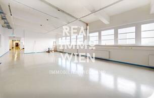 Gewerbe Büro/Praxis Moderne Büro- oder Praxisfläche in zentraler Lage von Traiskirchen! 2514 Traiskirchen