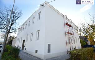 Anlage Industrie/Gewerbe Attraktiver Rohdachboden mit Baugenehmigung in top Lage! 2100 Korneuburg