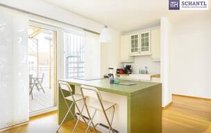 Anlage Wohnung Exklusives Design-Loft mit einer Dachterrasse, Klimaanlage & Weitblick in Ruhelage 1120 Wien