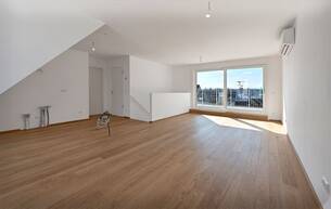 Anlage Wohnung THE TEMPTATION - 4 ZI - Maisonette - 3 Terrassen- Nordsüd 1180 Wien