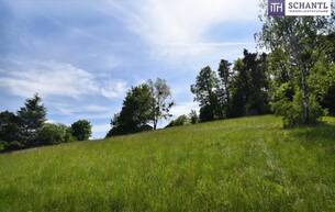 Wohnen GRANDIOS! TRAUMHAFTER BAUGRUND Graz-St. Veit in absoluter Ruhelage! In einer Sackgasse gelegen und von der grünen Natur umgeben - SENSATIONELLER AUSBLICK! Jetzt anfragen und Details anfordern! 8046 Graz