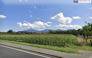 Wohnen Enormes Potenzial - Bauträger-Grundstück in Wasserhofen, Gemeinde St. Kanzian (Kärnten) 9125 Wasserhofen Wohnen Enormes Potenzial - Bauträger-Grundstück in Wasserhofen, Gemeinde St. Kanzian (Kärnten) 9125 Wasserhofen