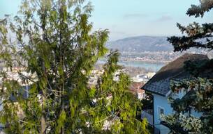 Anlage Toller Villenbaugrund mit Fernblick am Josefsteig 3400 Klosterneuburg