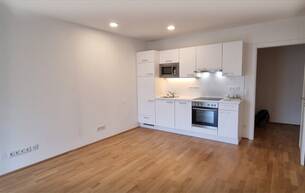 Wohnen Wohnung PERFEKTE WOHNUNG FÜR STADTBUMMLER UND WIEN LIEBHABER 1150 Wien,Rudolfsheim-Fünfhaus