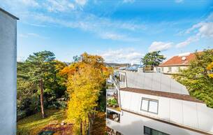 Wohnen Wohnung Fantastische Dachwohnung auf einer Ebene mit allen Features die man sich wünscht! Hohes Maß an Privatsphäre! 1130 Wien