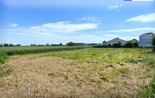 Anlage Perfekt für Häuslbauer und als Anlage: Baugrundstück I Grünruhelage I unverbautes Gegenüber I Kein Bauzwang! 2441 Mitterndorf an der Fischa