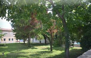 Wohnen Baugrundstück mit ca. 450 m² – ideal geeignet für die Errichtung eines zweigeschossigen Doppelhauses 2601 Sollenau