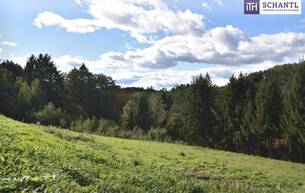 Anlage Rastbühel – Ihr neues Zuhause nur 10 Minuten von der Plüddemanngasse in Graz entfernt! Vier traumhafte Baugrundstücke – Greifen Sie jetzt zu! 8301 Laßnitzhöhe