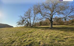 Wohnen 7 Parzellen verfügbar - Tolles Baugrundstück am Sonnenhang in Prenning bei Deutschfeistritz – 3.700 m², aufteilbar in 7 Parzellen 8121 Prenning