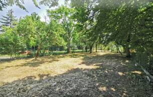 Gewerbe 522m² Garten (kein Baugrund) mitten in Langenzersdorf 2103 Langenzersdorf