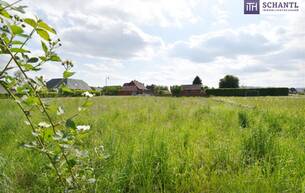 Wohnen BAUTRÄGER aufgepasst! Baubewilligtes Projekt mit 4 Doppelhaushälften in gefragter Lage! SOFORT loslegen! 8430 Leibnitz