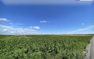 Anlage Rarität! Landwirtschaftliches Grundstück zwischen Moosbrunn und Gramatneusiedl– ca. 41.000 m² Ackerfläche zu verkaufen! 2440 Moosbrunn