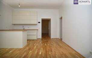 Wohnen Wohnung ++ ZUKUNFTSVORSORGE++ Top sanierte Wohnung in ruhiger Seitengasse + befristet vermietet + Stellplatz 1060 Wien