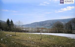 Anlage Seltenes Baugrundstück mit genialem Donau-Blick in ruhiger Lage: 2.168 m² für großzügiges Eigenheim oder mit Projektstudie für Wohnbau-Projekt! 3681 Hofamt Priel