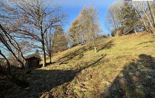 Anlage PREISREDUKTION! Attraktiver Baugrund inkl. Bewilligung für Wohnbauprojekt mit 4 Doppelhaushälften! Jetzt anfragen! 8072 Fernitz