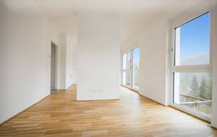 Anlage ANLEGER-TRAUM! 2-ZIMMER WOHNUNG MIT GROSSEM GARTEN UND PKW-STELLPLATZ! AIRBNB & ZWEITWOHNSITZ MÖGLICH! 2680 Steinhaus am Semmering