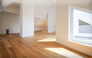 Anlage Wohnung ANLEGERHIT MIT 3% RENDITE - OFFENES LOFT MIT SONNIGER TERRASSEIN ST. PÖLTEN 3100 St. Pölten