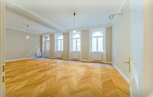 Gewerbe Büro/Praxis Prestigeträchtige Geschäftsadresse für Ihr neues Büro. Erstbezug beim Rathaus 1010 Wien