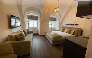 Wohnen Wohnung ++ Luxury Living im Kahlenbergerdorf ++ Vollmöblierte 1-Zimmerwohnung mit Gartennutzung 1190 Wien
