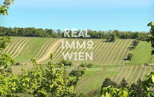 Wohnen Wohnung Stilvolle Maisonette in Top-Lage – inklusive Garten und Weinbergblick 1190 Wien Wohnen Wohnung Stilvolle Maisonette in Top-Lage – inklusive Garten und Weinbergblick 1190 Wien