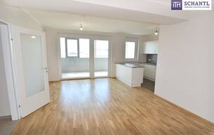 Wohnen Wohnung "DER MARKHOF" - mit Wohlfühlfaktor! Ihre neue Drei-Zimmer-Wohnung mit coolem Wintergarten! 2320 Schwechat