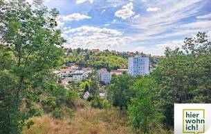Wohnen Einzigartiger Baugrund über den Dächern von Krems mit toller Fernsicht 3500 Krems an der Donau
