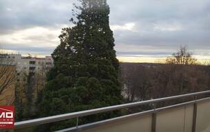 Wohnen Wohnung Dachgeschosswohnung mit Terrasse in zentraler Lage in Baden 2500 Baden Wohnen Wohnung Dachgeschosswohnung mit Terrasse in zentraler Lage in Baden 2500 Baden