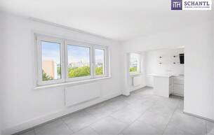 Wohnen Wohnung Sanierte 72 m² Wohnung mit Wow-Effekt im Wohnzimmer 1220 Wien