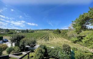 Wohnen Wohnung Traumhafte Wohnung mit Terrasse und Weingartenblick in absoluter Ruhelage 1230 Wien