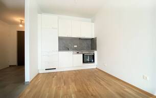 Wohnen Wohnung PLANKENGASSE | 2 Zimmer Neubauwohnungen mit Balkon | Klimaanlage | inkl. TG-Stellplatz | ab 1. Dezember 2026 2700 Wiener Neustadt