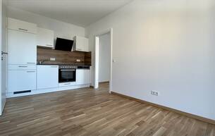 Anlage Wohnung 2-Zi-Anlegerwohnung, ca. 4,2 % Rendite – Graz-Straßgang 8054 Graz