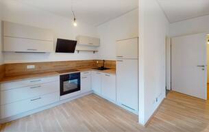 Wohnen Wohnung Vermietete Anlegerwohnung – 3 Zimmer, 102 m² Garten, Gösting 8051 Graz