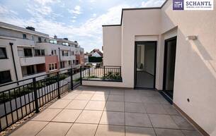Anlage Wohnung Eine Sonnenterrasse vom Feinsten. 3 Zimmer in Hofruhelage im Erstbezug! Ab Q3/26 2301 Groß-Enzersdorf